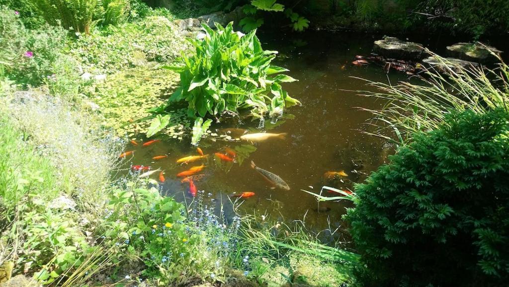 'Monktonmead Lodge' In Secluded Setting, With Private Indoor Pool. ライド エクステリア 写真