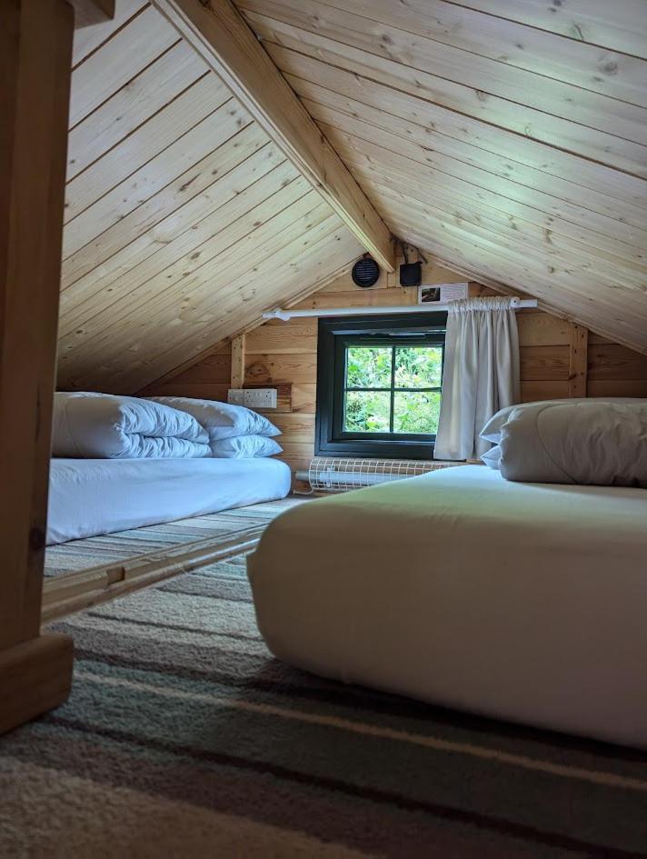 'Monktonmead Lodge' In Secluded Setting, With Private Indoor Pool. ライド エクステリア 写真