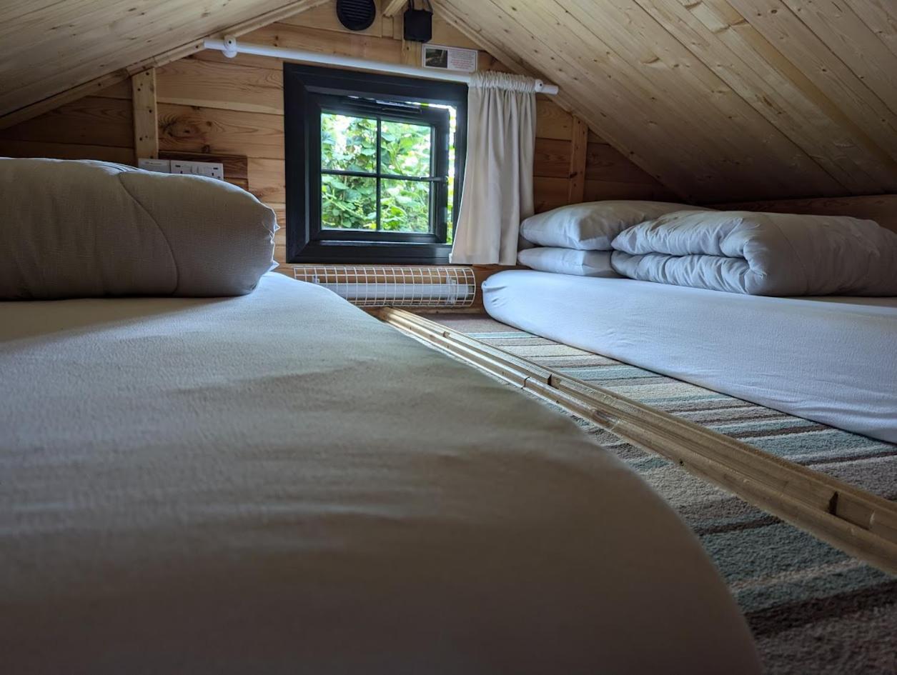 'Monktonmead Lodge' In Secluded Setting, With Private Indoor Pool. ライド エクステリア 写真